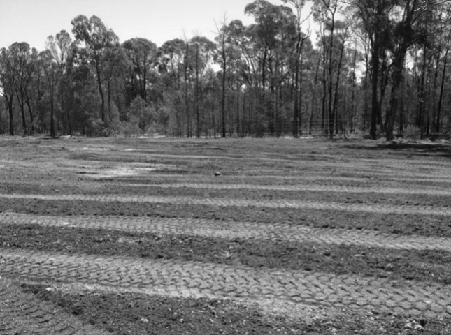 Damaged land awaiting revegetation after being rehabilitated with soil treatment and organic material.