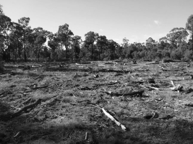 Damaged land awaiting revegetation after being rehabilitated with soil treatment and organic material.